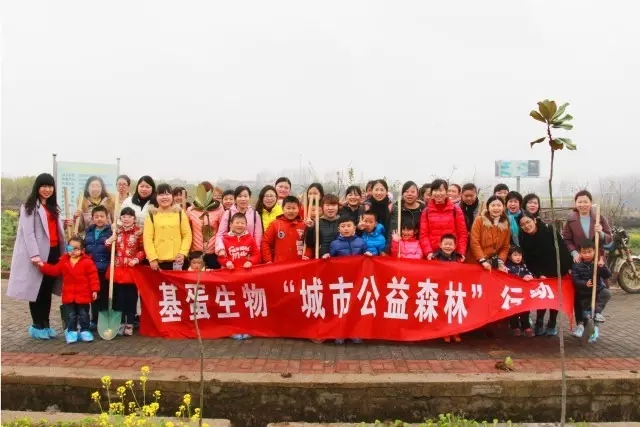 九游网页版